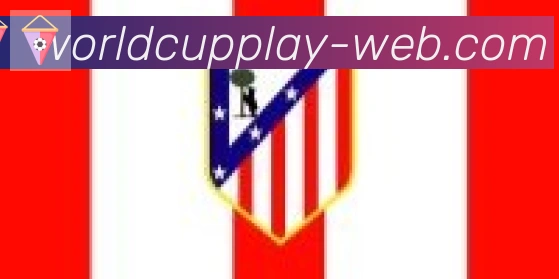 FIFA世界杯买球入口合作伙伴